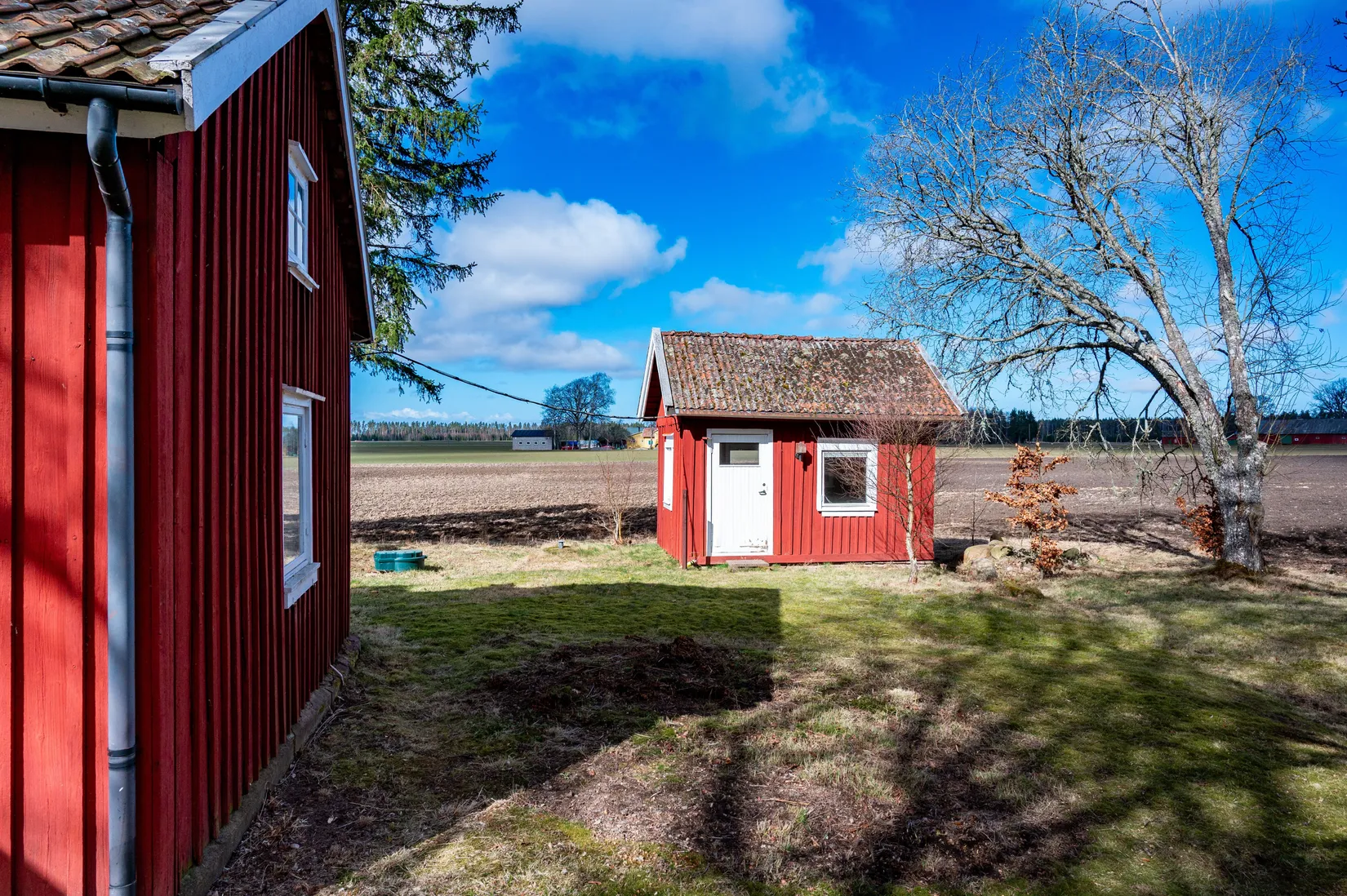 Gård/Skog, Ryda Häradstorp 1, Ryda, Vara