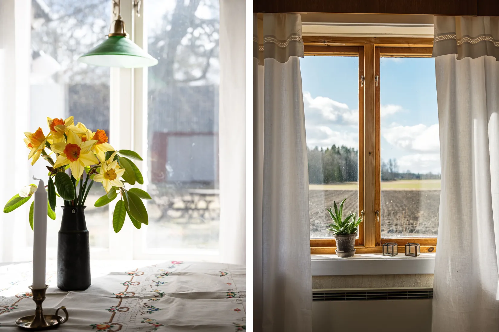 Gård/Skog, Ryda Häradstorp 1, Ryda, Vara