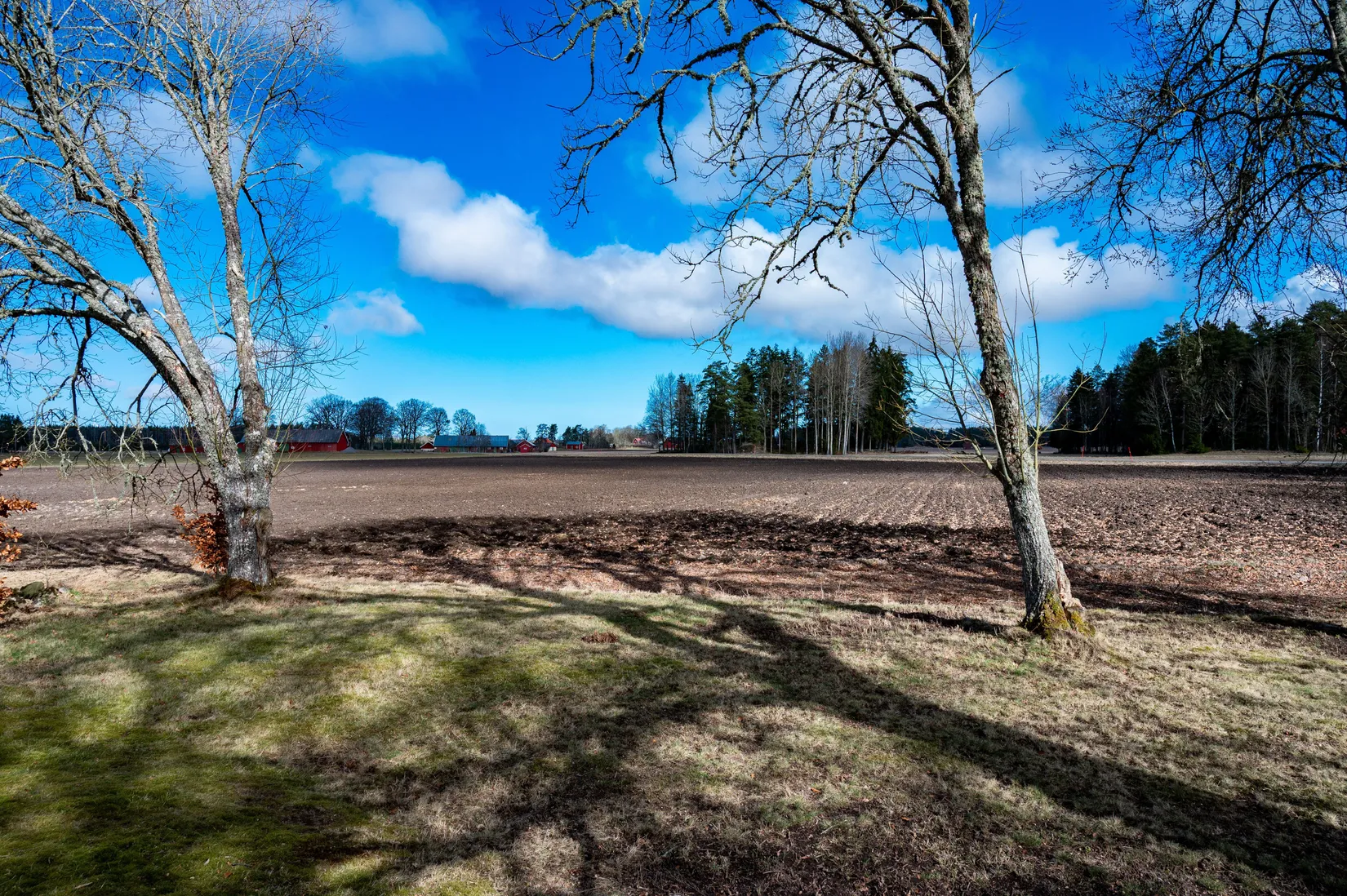 Gård/Skog, Ryda Häradstorp 1, Ryda, Vara