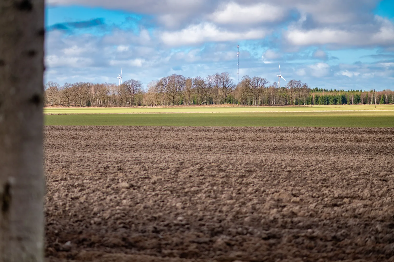 Gård/Skog, Ryda Häradstorp 1, Ryda, Vara