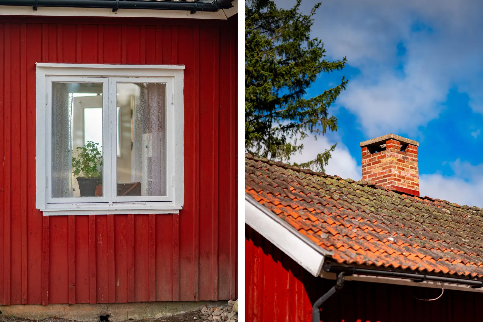 Gård/Skog, Ryda Häradstorp 1, Ryda, Vara