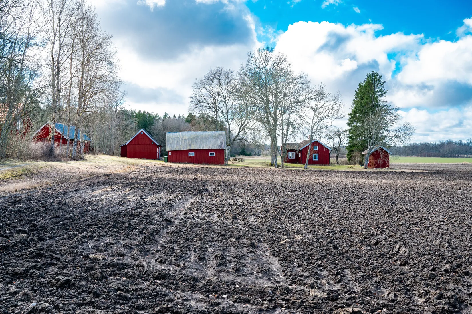 Gård/Skog, Ryda Häradstorp 1, Ryda, Vara