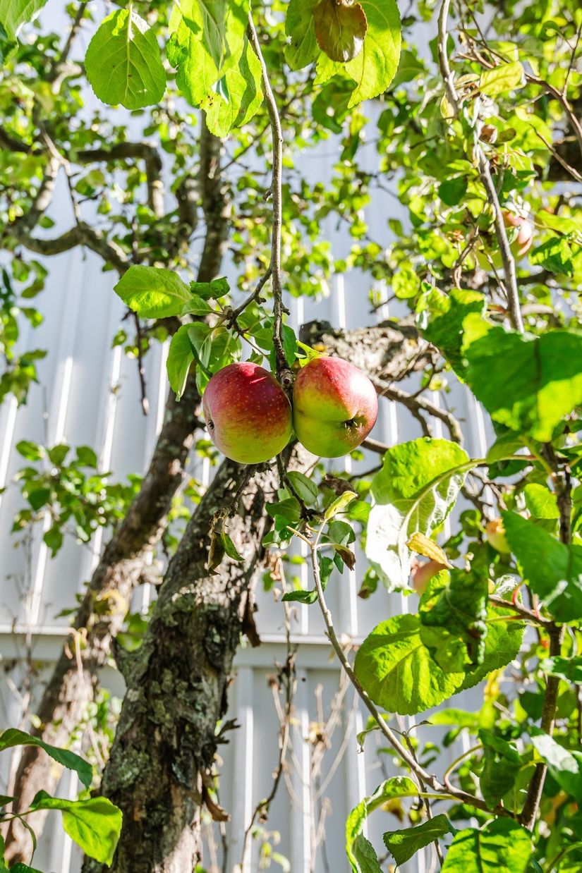 Bostadsrätt, Blindgatan 1F, Östanfors, Falun