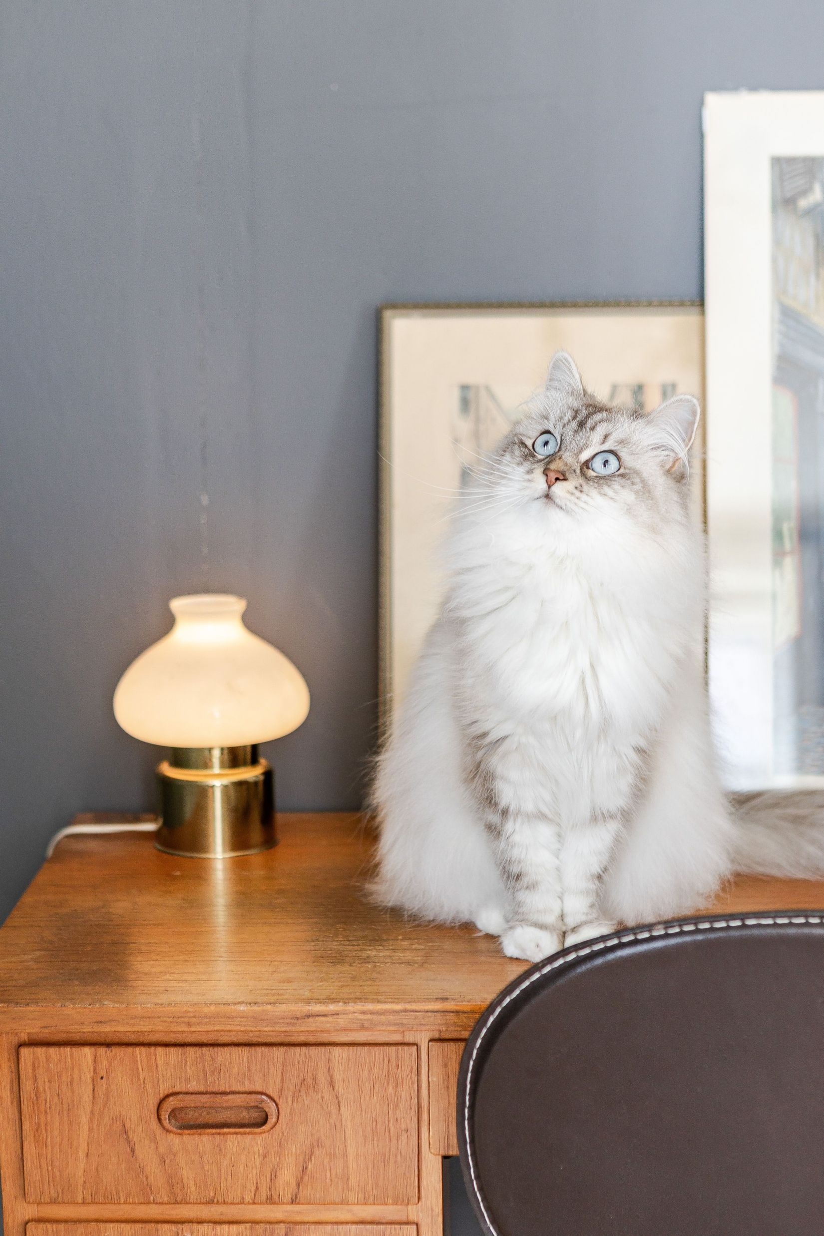 Bostadsrätt, Blindgatan 1F, Östanfors, Falun