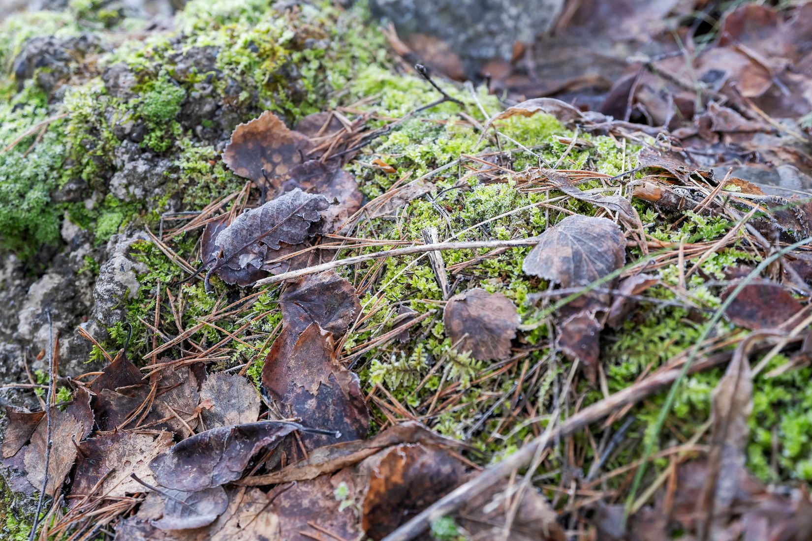 Tomt, SUNDSVALL KÄLSTA 2:22 Stöde, Sundsvall