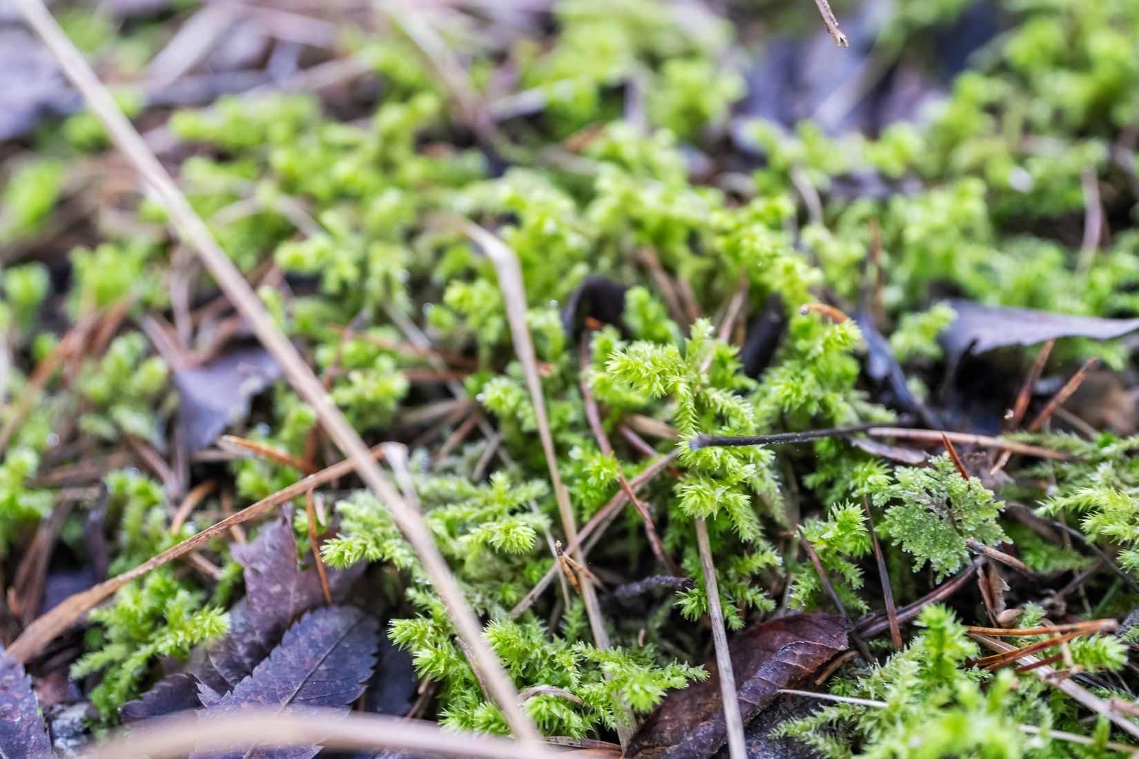 Tomt, SUNDSVALL KÄLSTA 2:22 Stöde, Sundsvall