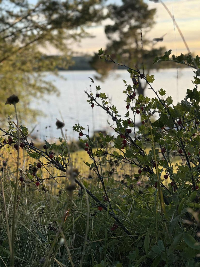 Villa, Torvollsvägen 80, Ope, Östersund