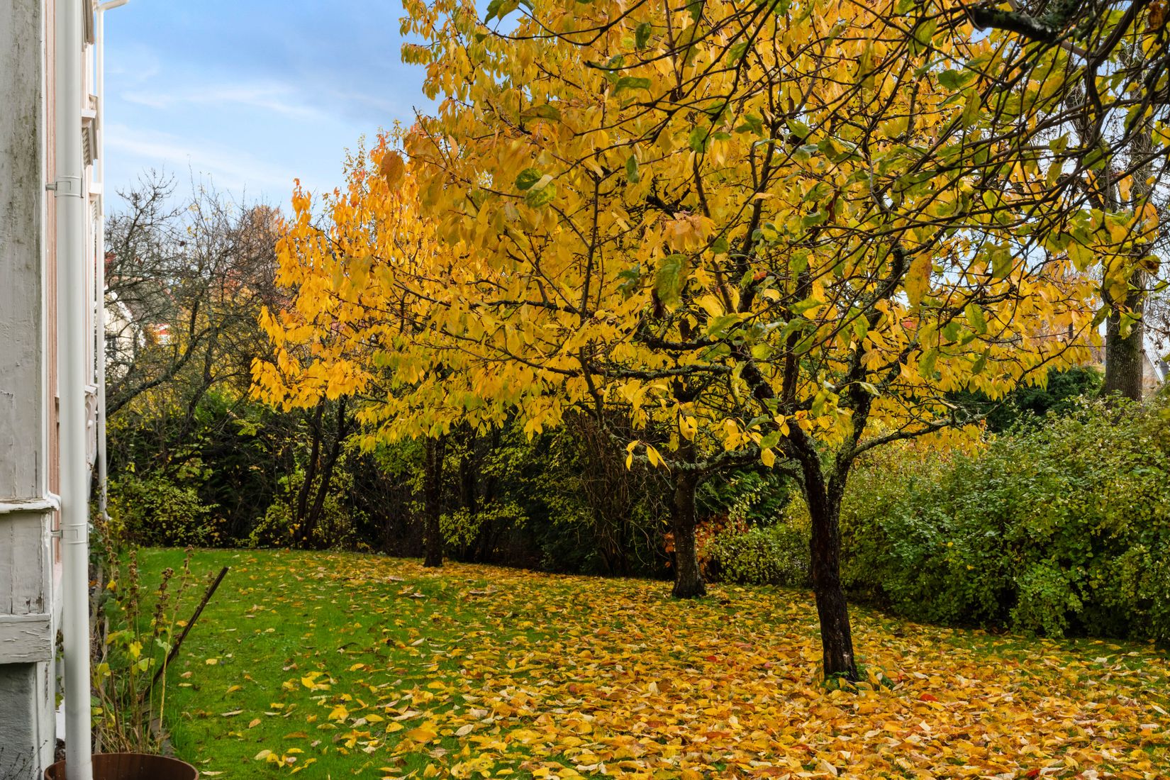Bostadsrätt, Auravägen 37, Danderyd