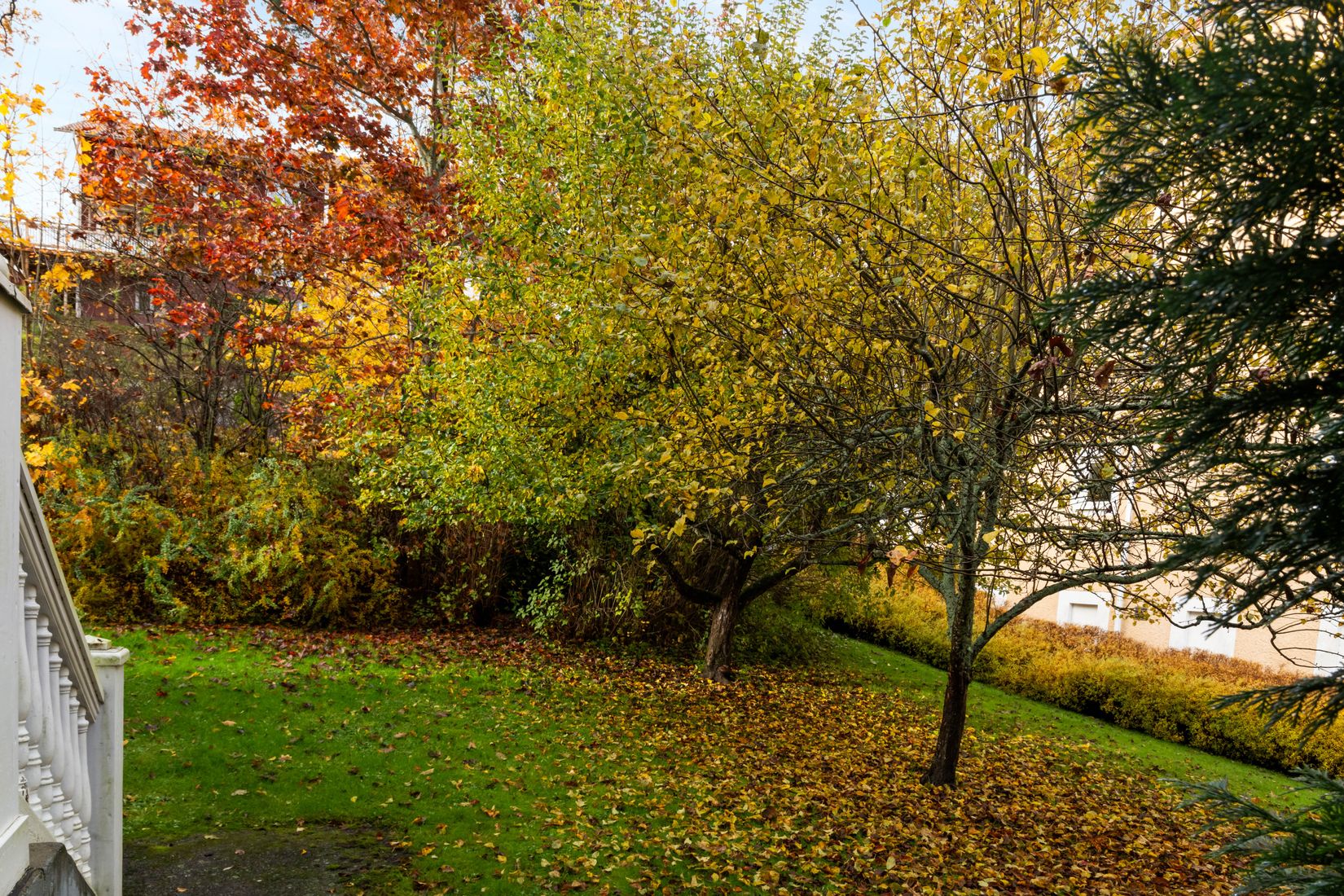 Bostadsrätt, Auravägen 37, Danderyd