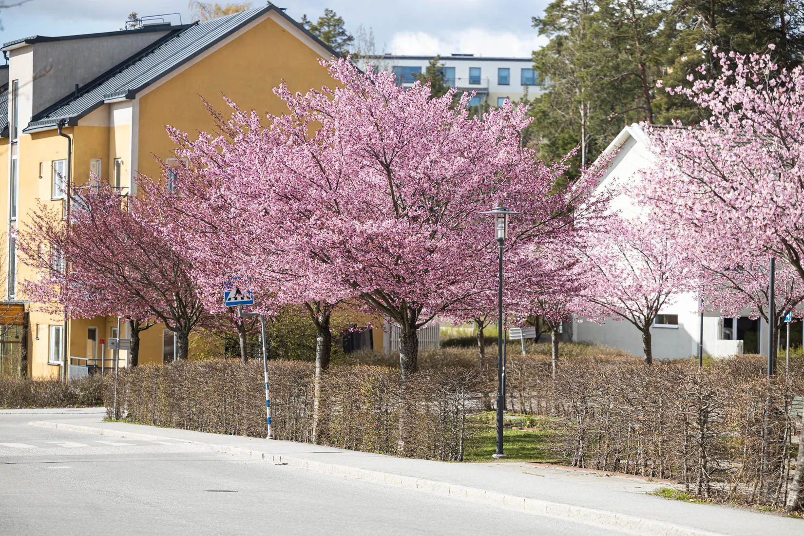Villa, Radhus, Gåsörtsvägen 21, Ursvik, Sundbyberg