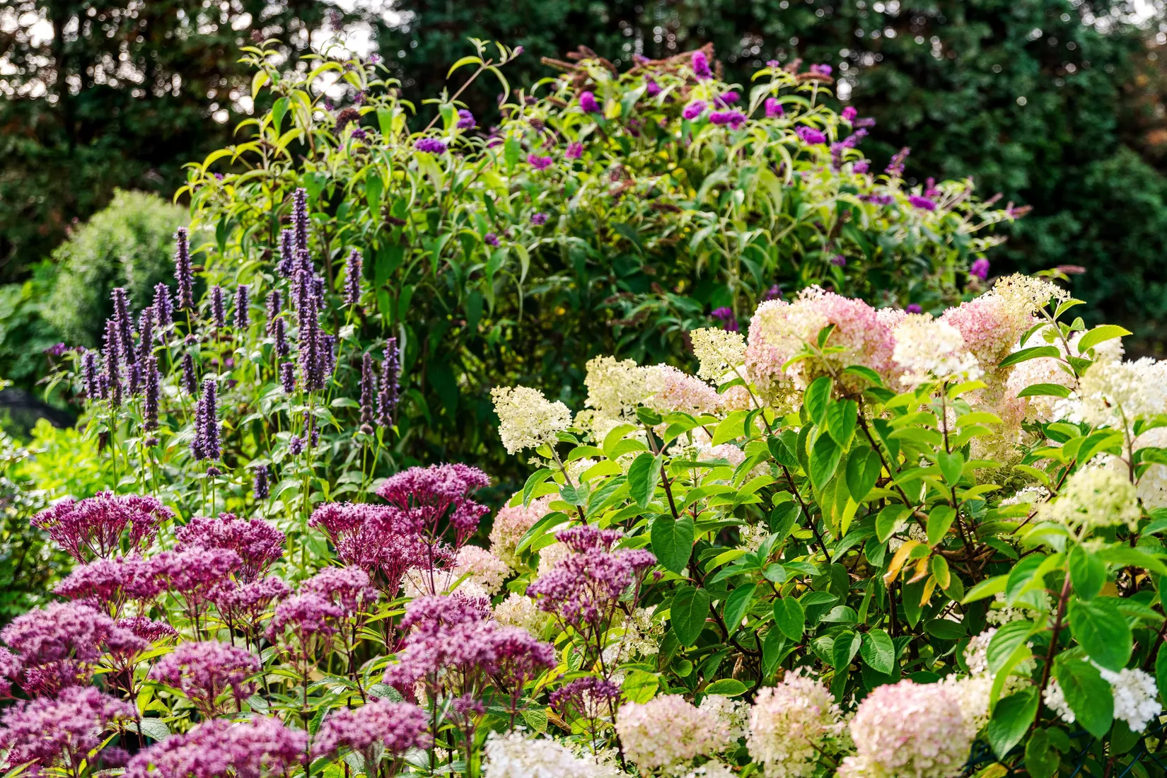 Villa, Forsakarsvägen 31, Degeberga, Kristianstad