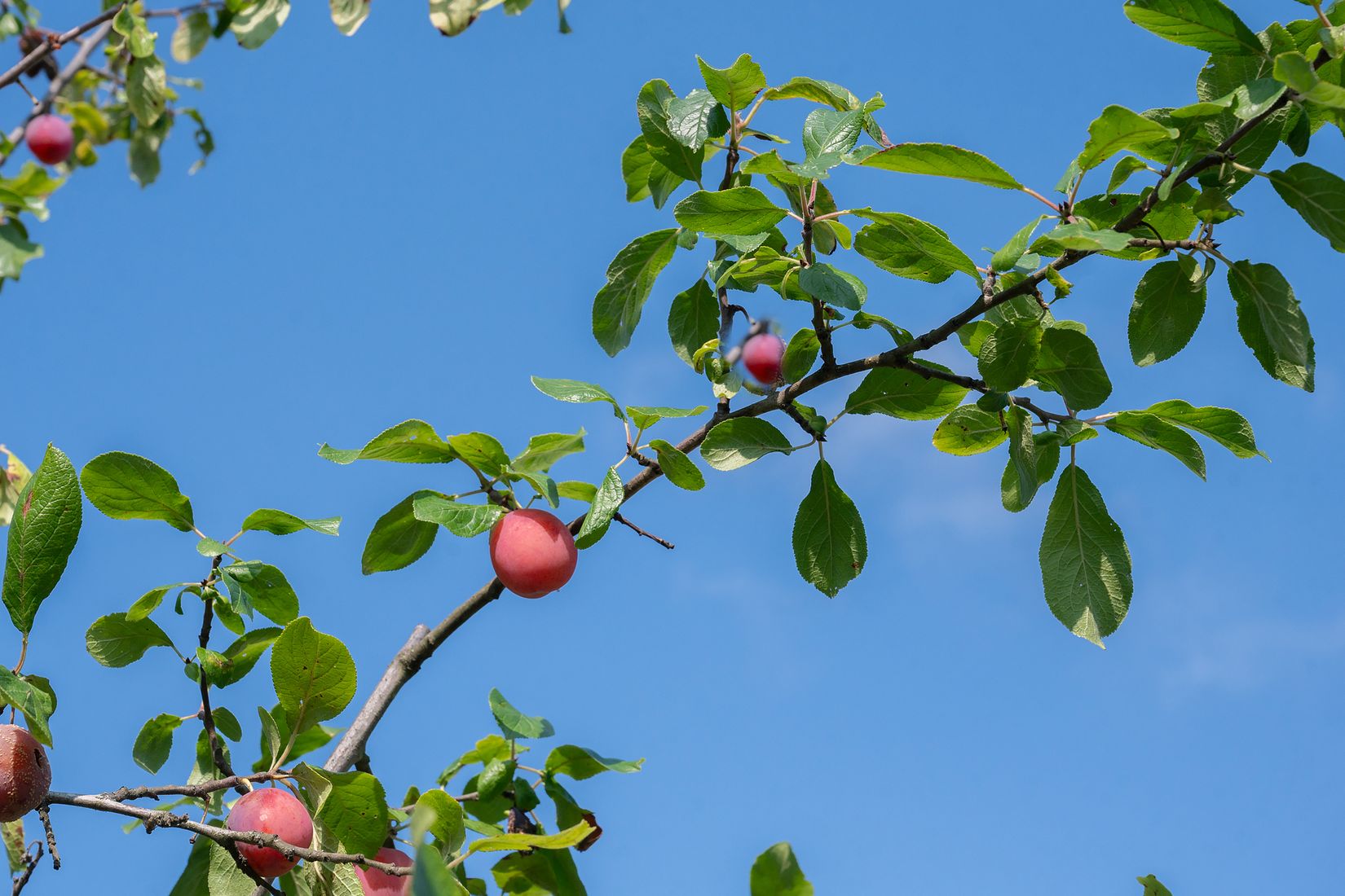 Villa, Stensängsvägen 1A, Stuvsta / Stensängen, Huddinge