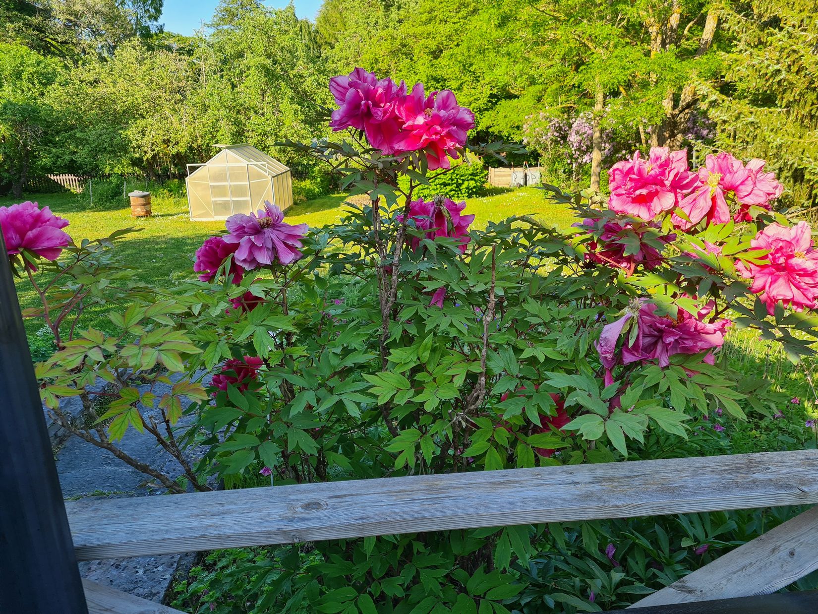 Villa, Mjölkgatan 3, Tingstäde - Norra Gotland, Gotland