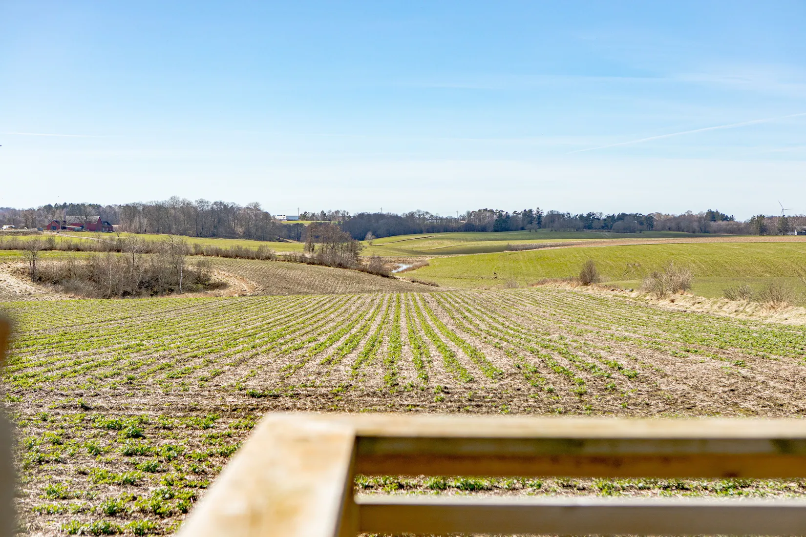 Villa, Ringsås 204, Vinbergs Kyrkby, Falkenberg