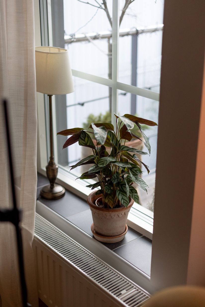 Bostadsrätt, Björnstigen 4E, Centralt, Oskarshamn