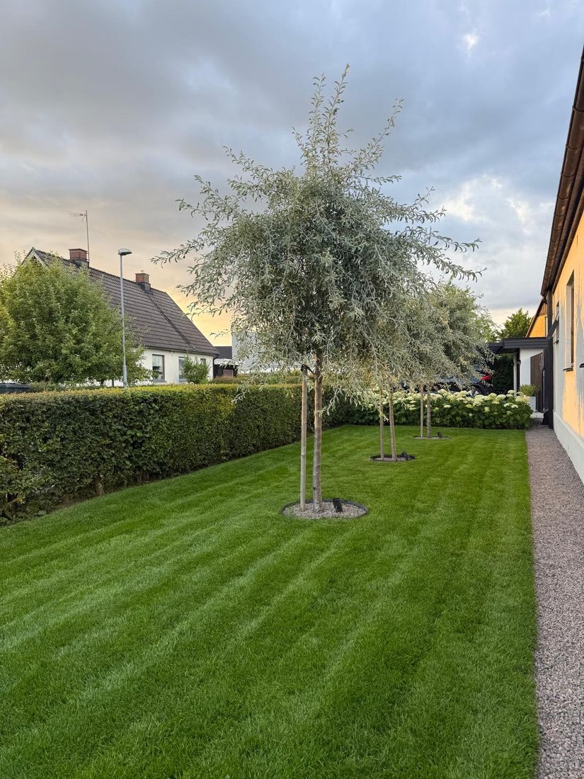 Villa, Sprängaregatan 6, Nyvång, Åstorp