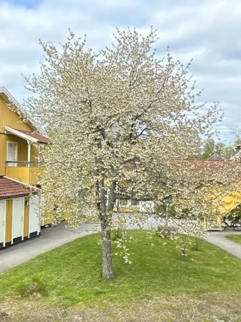 Bostadsrätt, Diamantgången 19, Öringe, Tyresö