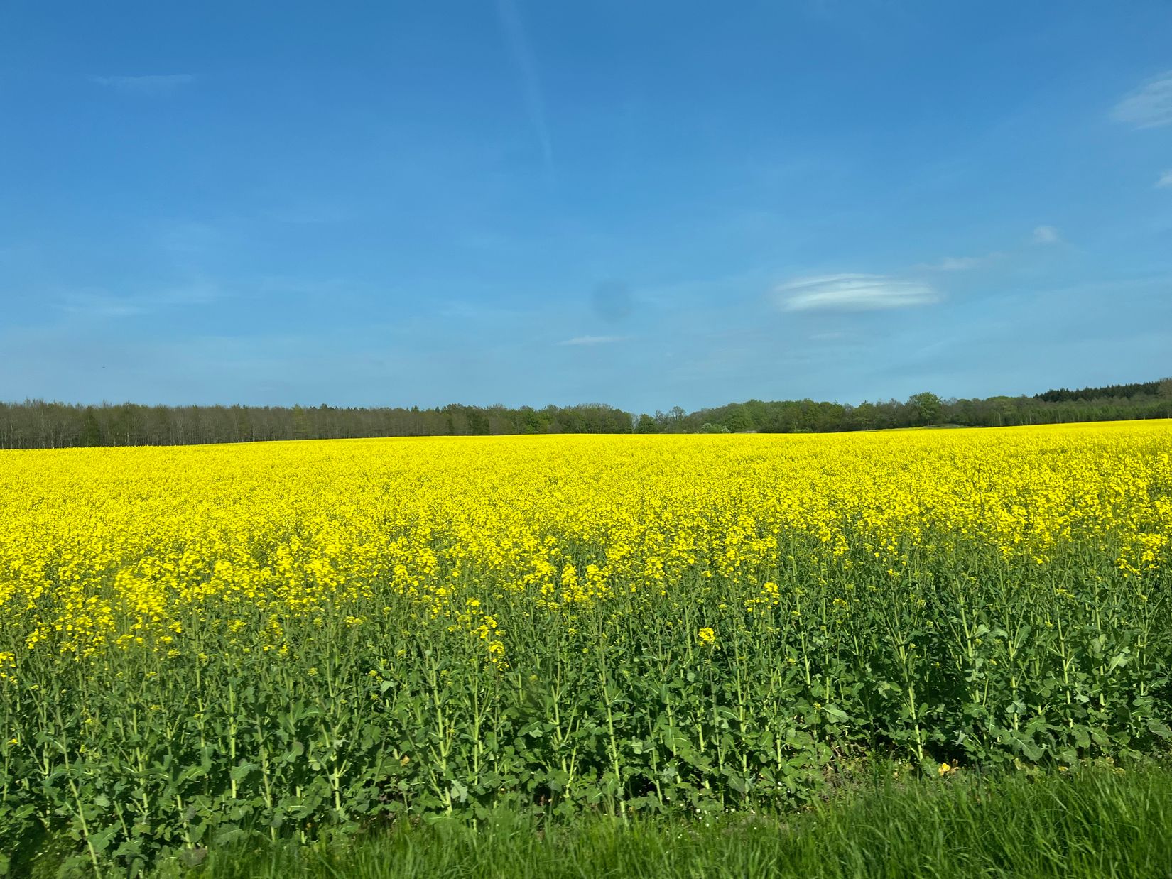 Villa, Flyingevägen 36, Gårdstånga, Eslöv
