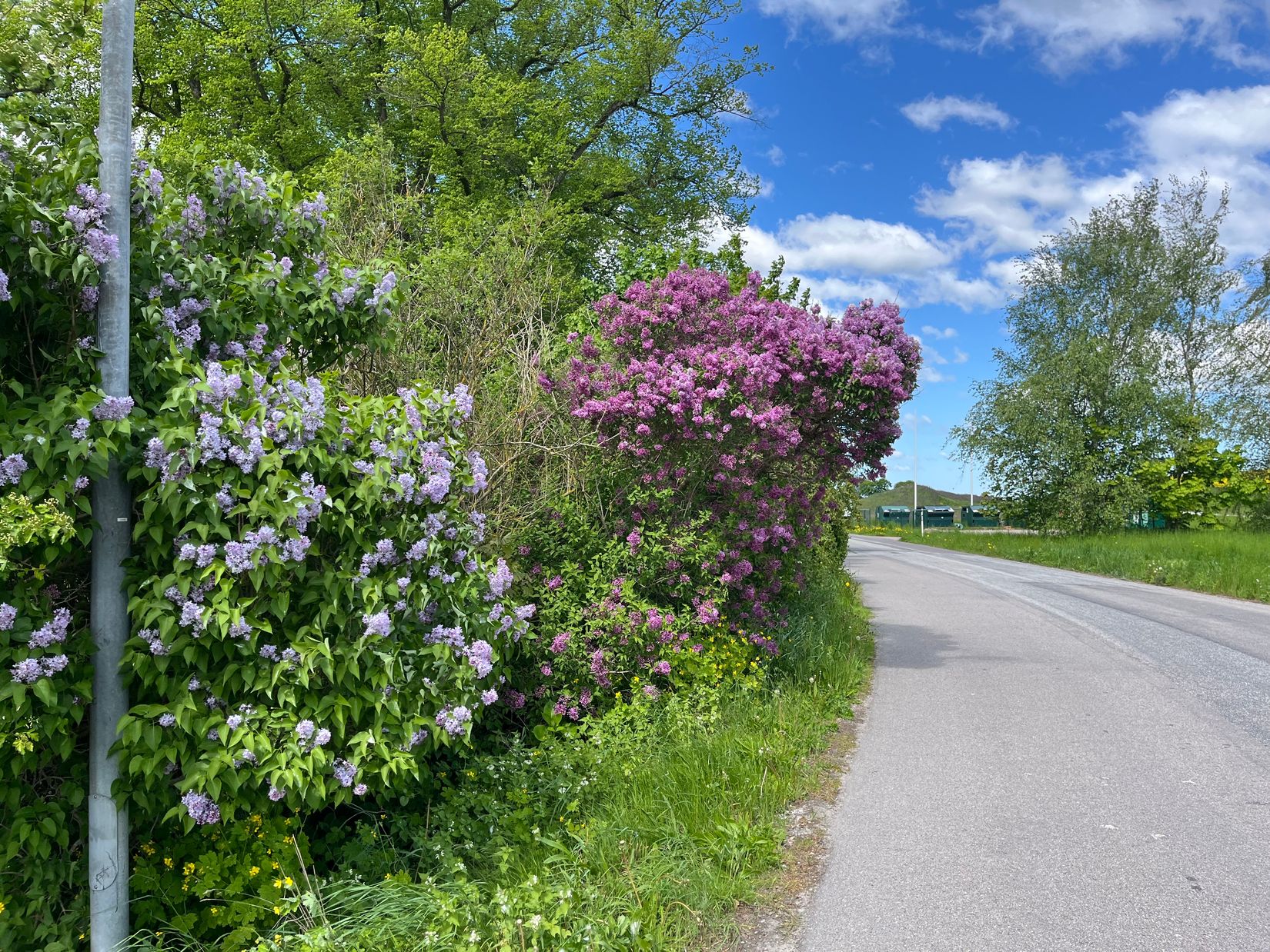 Villa, Flyingevägen 36, Gårdstånga, Eslöv