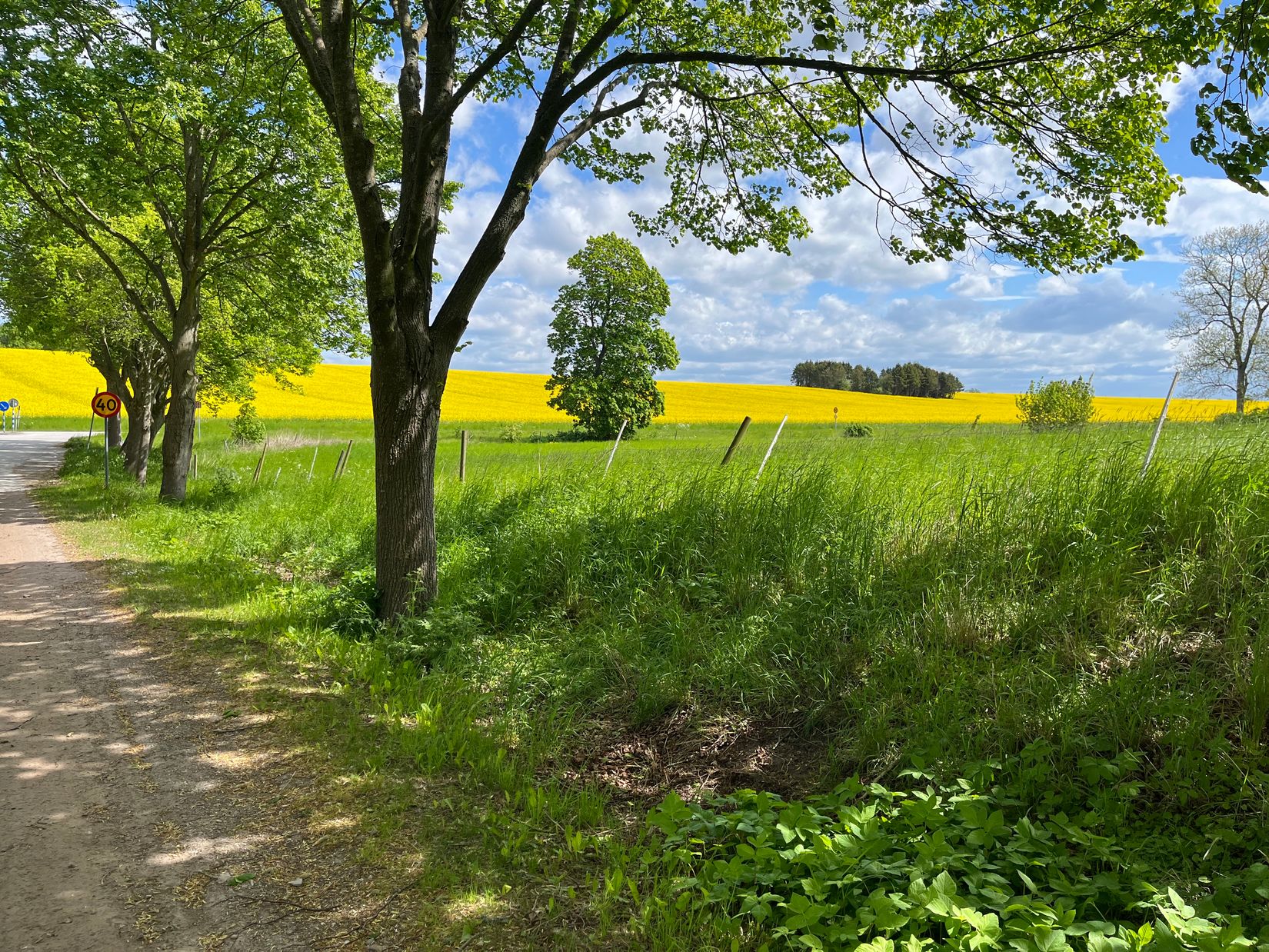 Villa, Flyingevägen 36, Gårdstånga, Eslöv