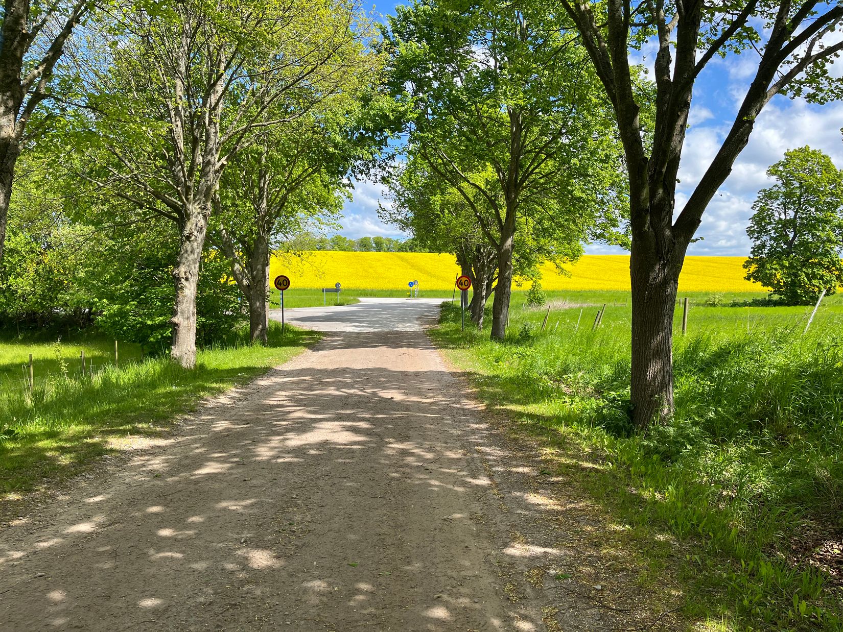 Villa, Flyingevägen 36, Gårdstånga, Eslöv