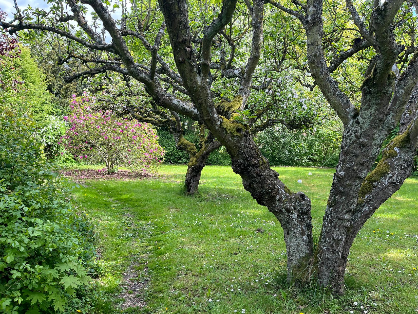 Villa, Flyingevägen 36, Gårdstånga, Eslöv