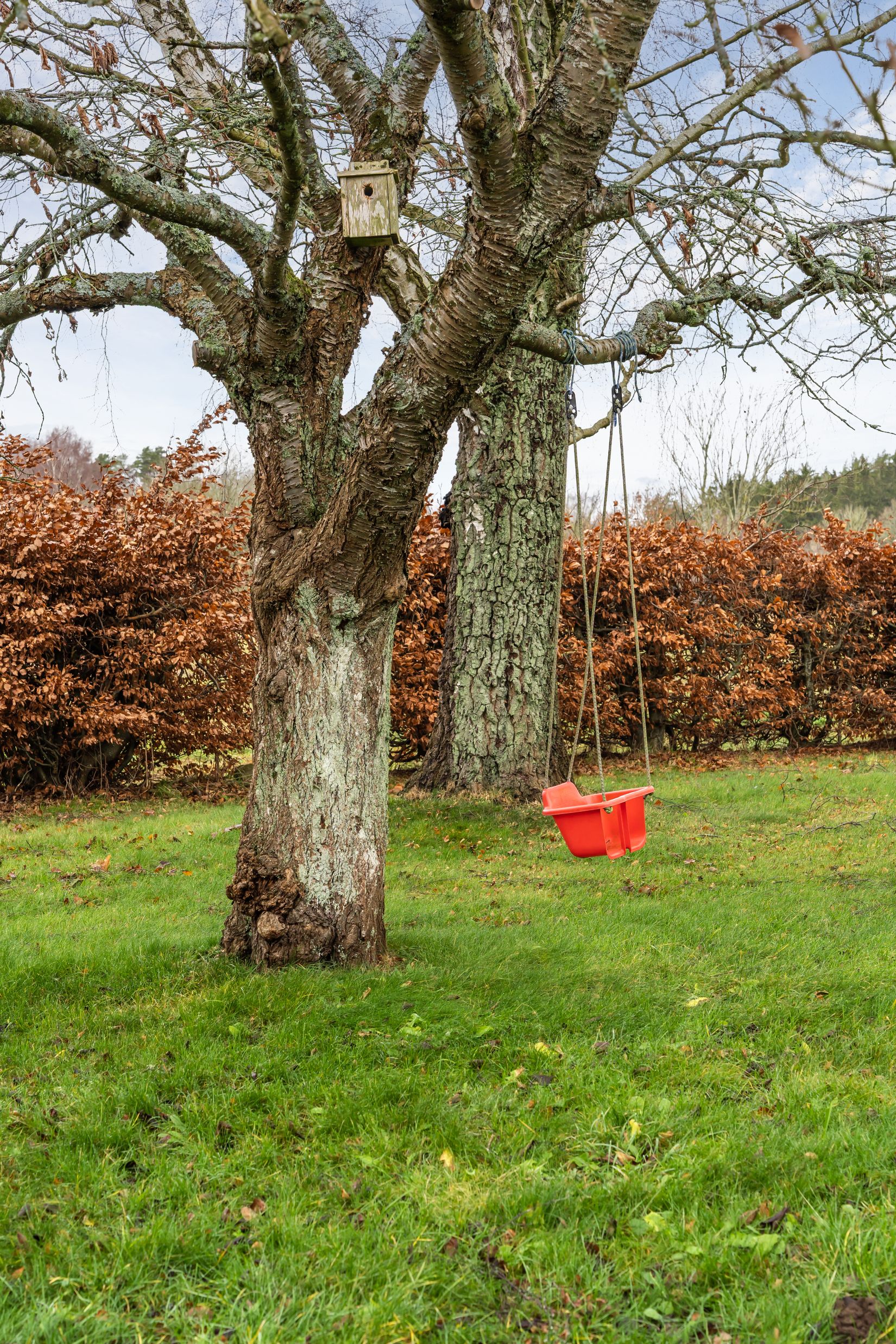 Gård/Skog, Lökarödsvägen 536, Kristianstad