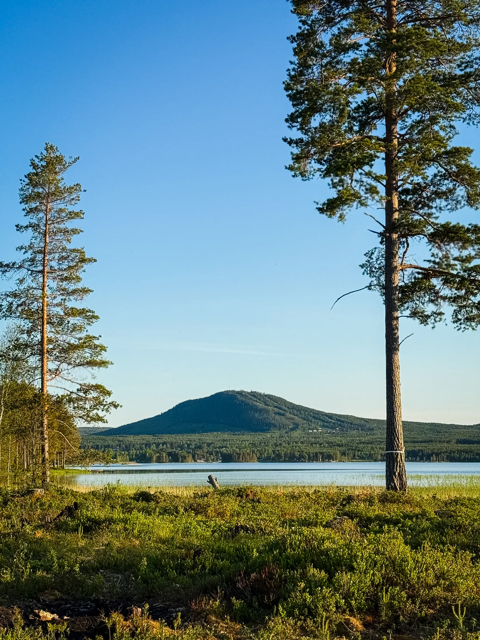 Tomt, Skålviksvägen, Tomt vid Siljan, Utanmyra/Sollerön, Mora