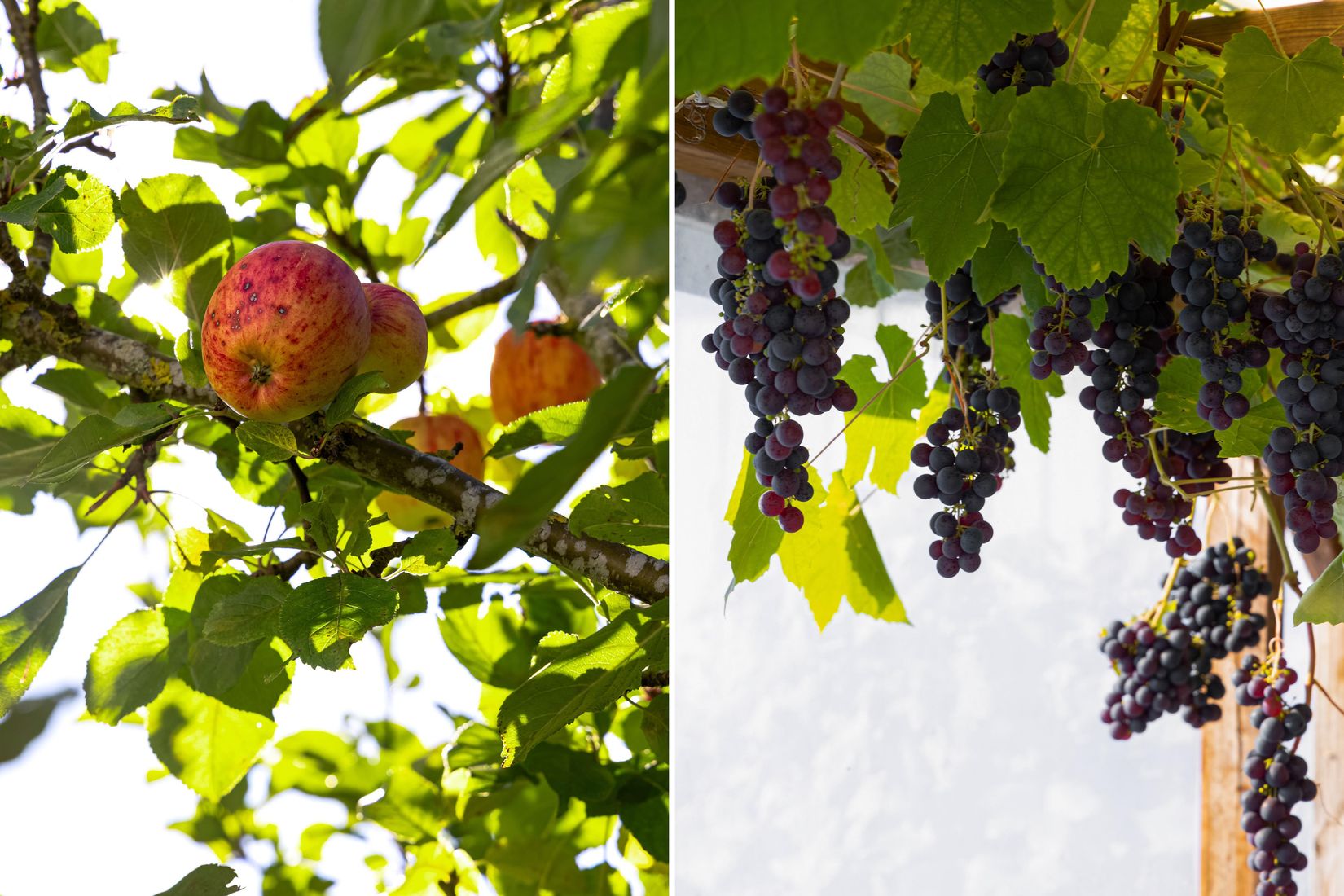 Villa, Rapsgatan 1, Elvkullen, Eslöv