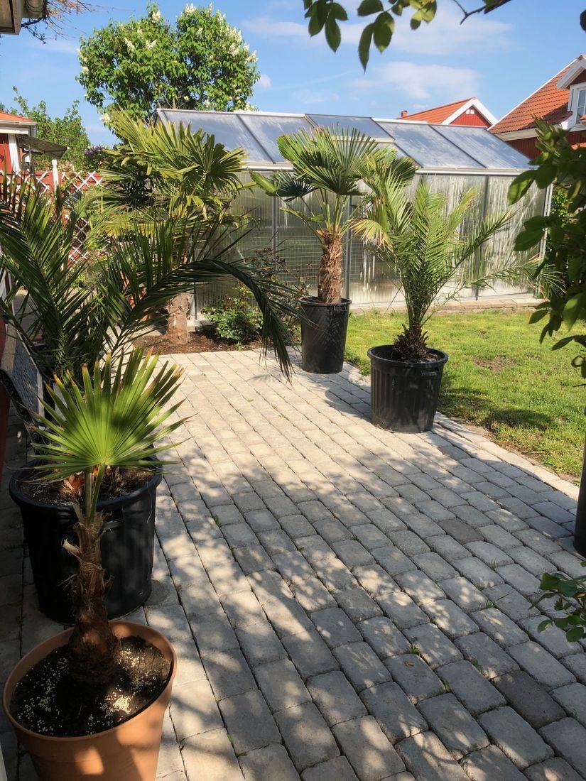 Villa, Rågången 54, Sandbyhov, Norrköping