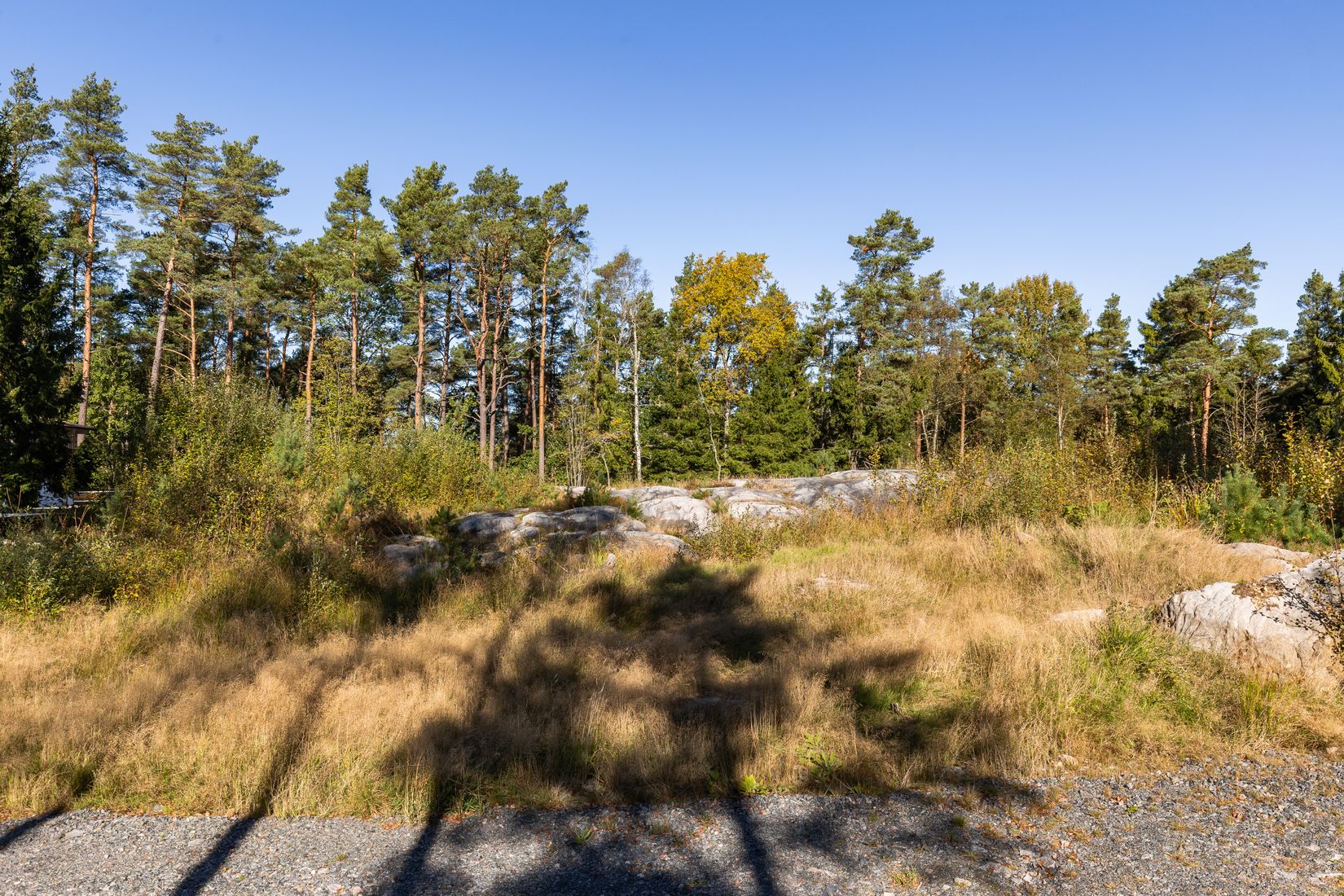 Villa, Skogsbovägen 61, Lerum-Gråbo, Lerum