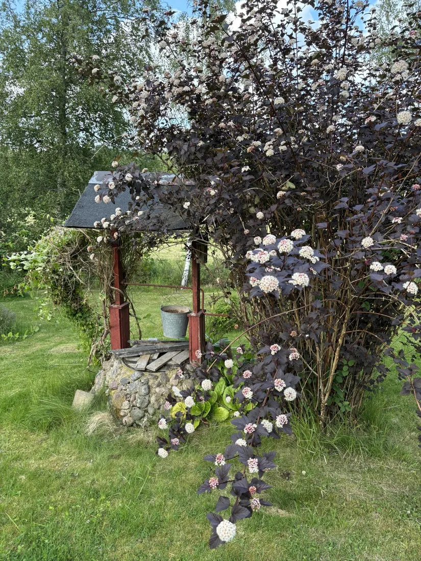 Villa, Tofsmesvägen 20, Kårtorp, Norrköping