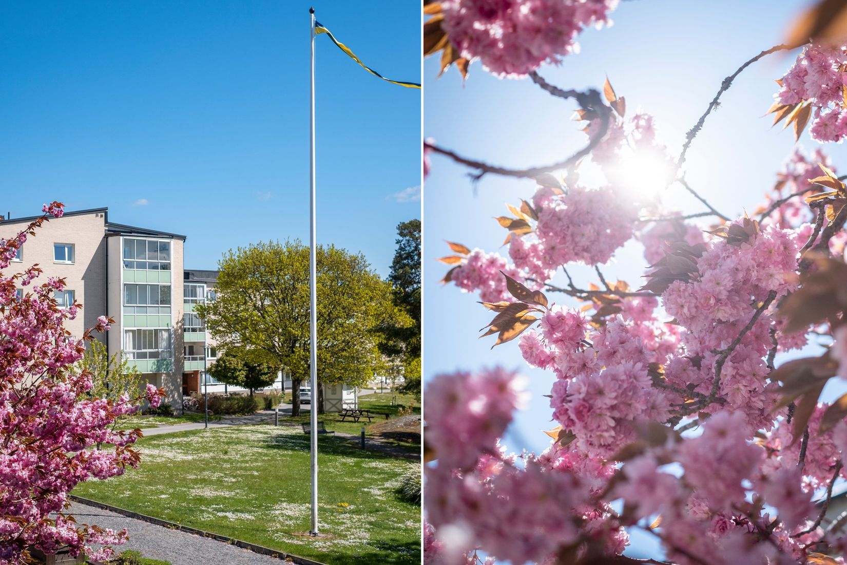 Bostadsrätt, Karl Martins Väg 8, Vaxholm