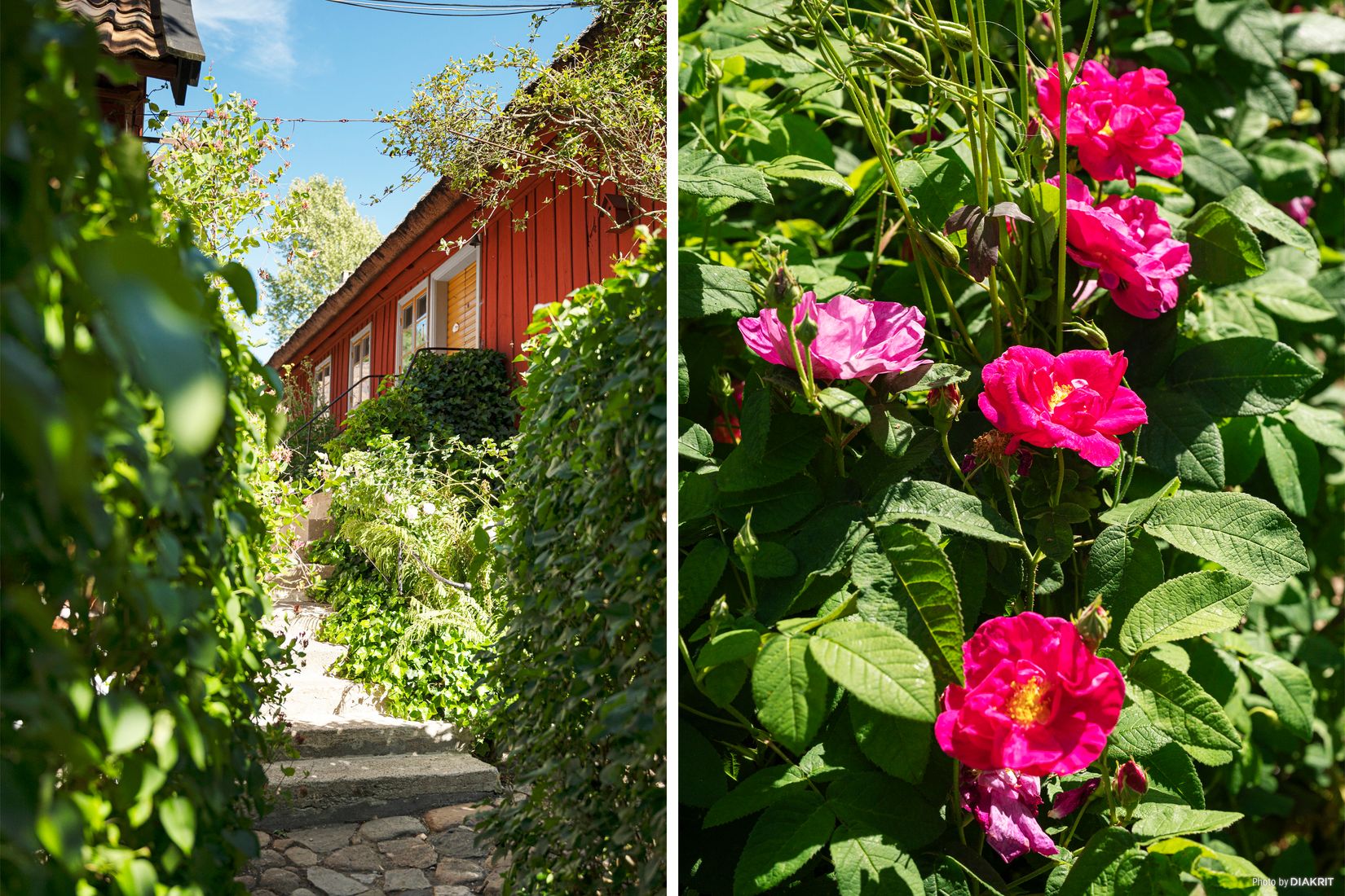 Villa, Fru Hammars väg 3, Brösarp, Tomelilla