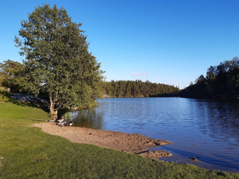 Bostadsrätt, Sockenvägen 613, Bagarmossen, Stockholm