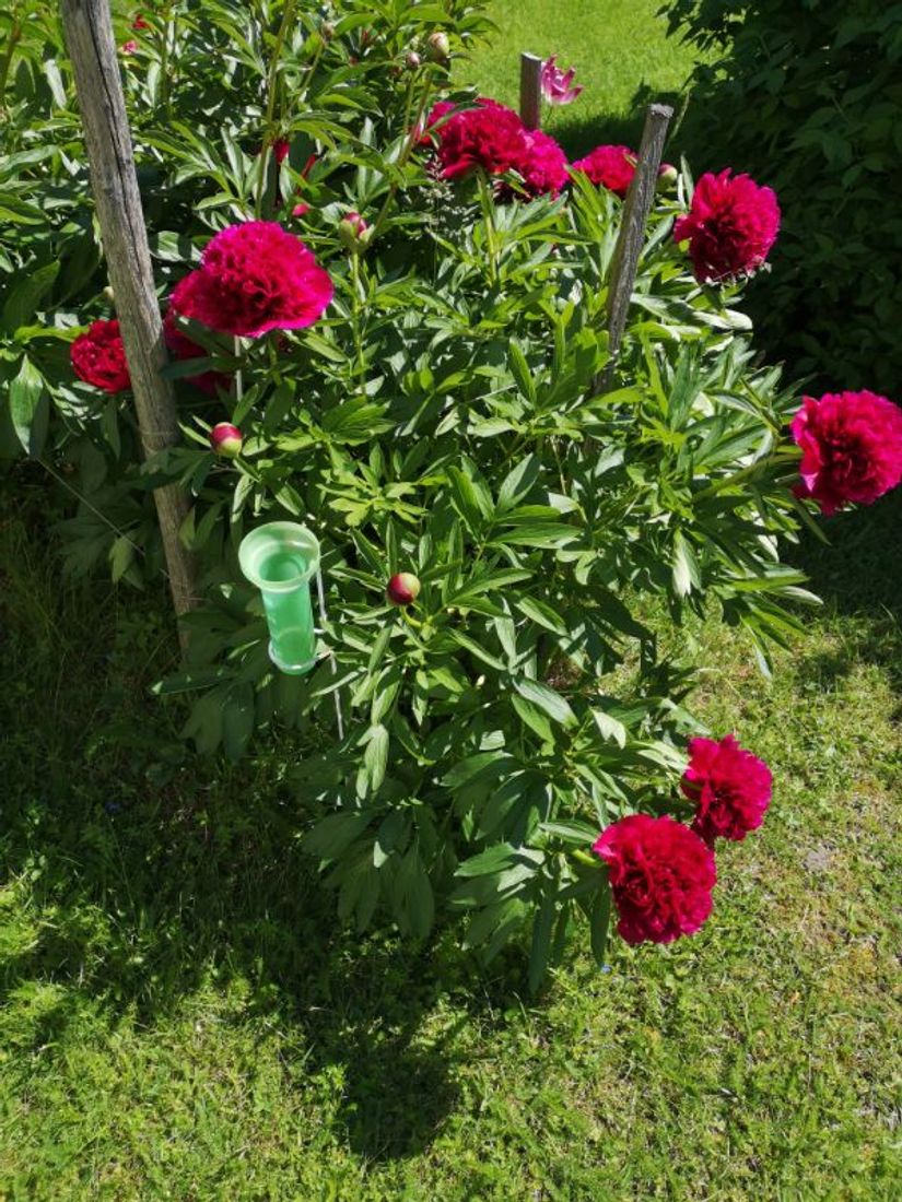 Villa, Roslagsbrovägen 289, Roslagsbro, Norrtälje