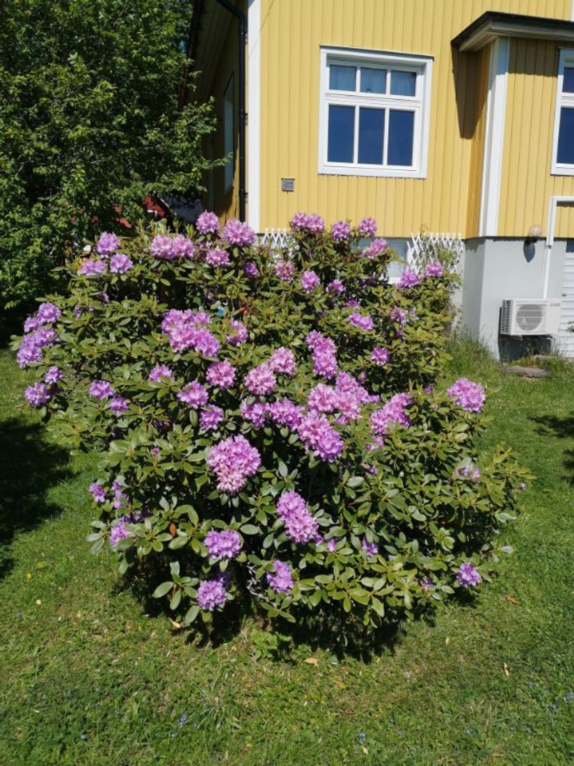 Villa, Roslagsbrovägen 289, Roslagsbro, Norrtälje