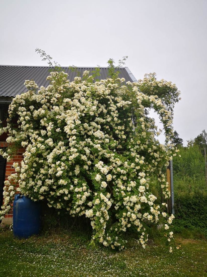 Villa, Roslagsbrovägen 289, Roslagsbro, Norrtälje