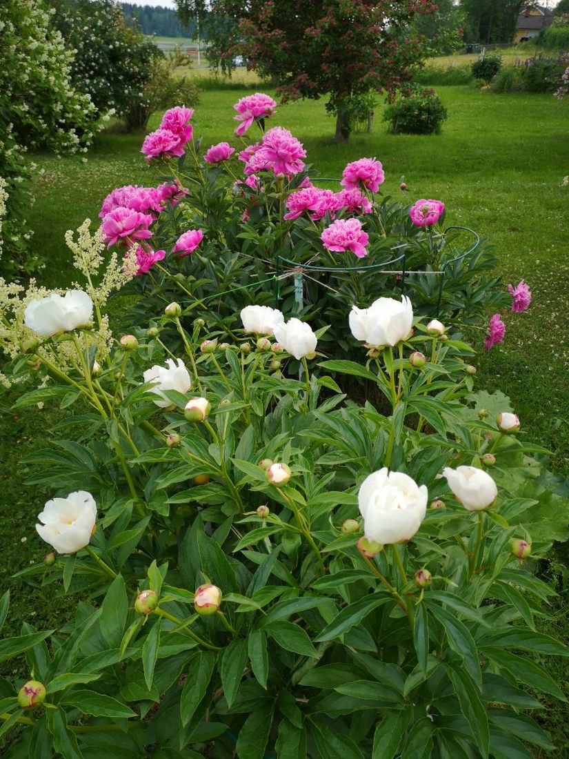 Villa, Roslagsbrovägen 289, Roslagsbro, Norrtälje