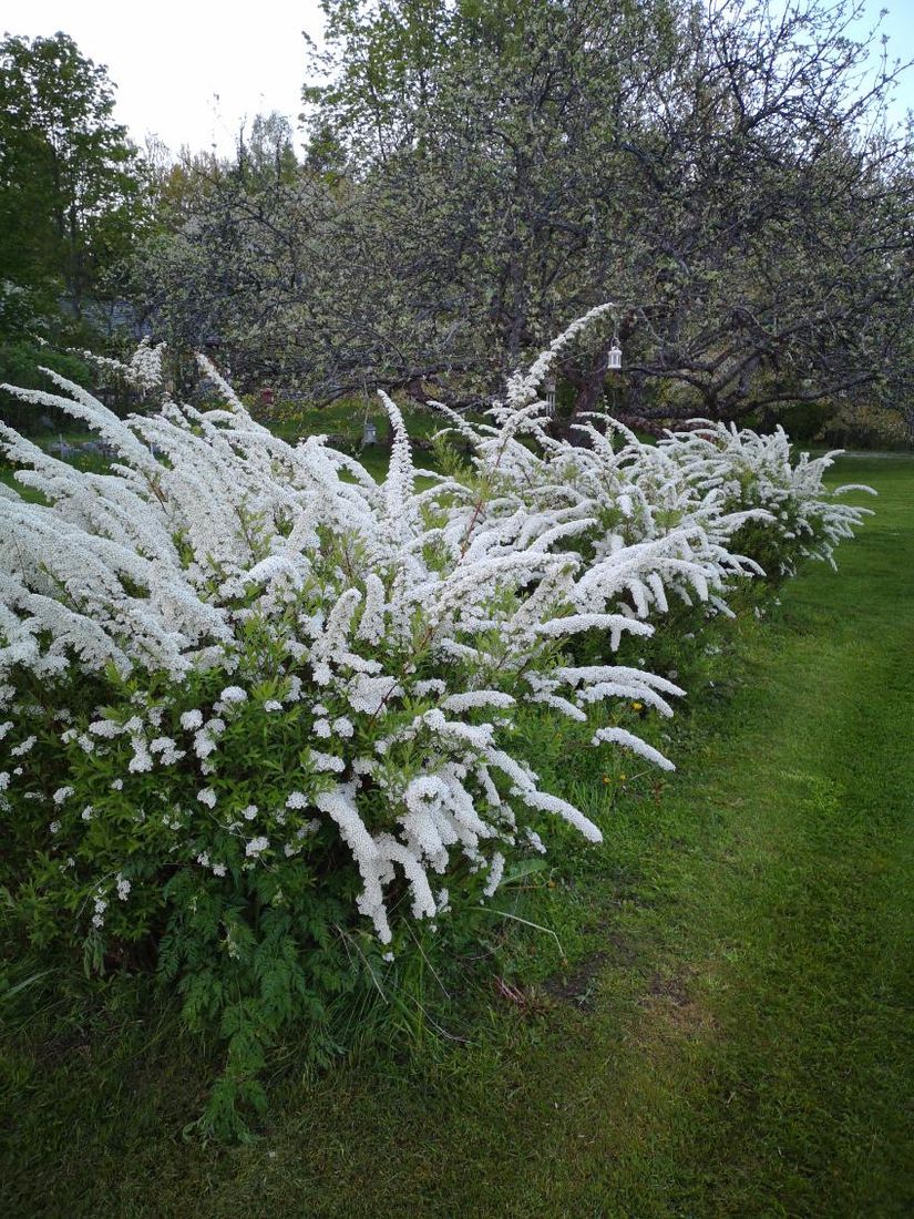 Villa, Roslagsbrovägen 289, Roslagsbro, Norrtälje