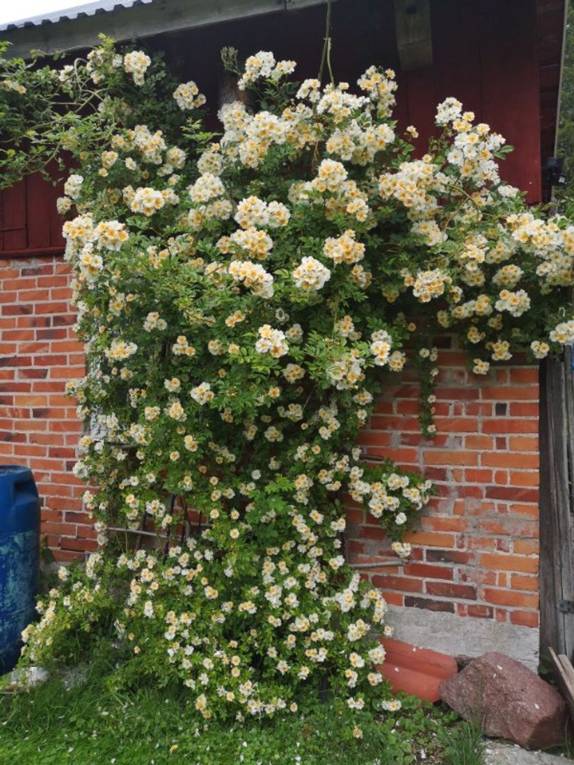 Villa, Roslagsbrovägen 289, Roslagsbro, Norrtälje