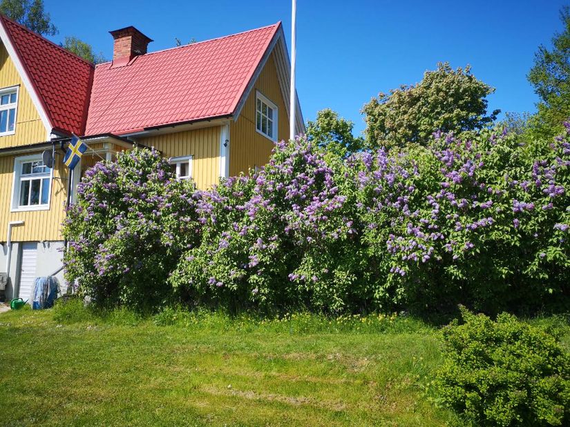 Villa, Roslagsbrovägen 289, Roslagsbro, Norrtälje
