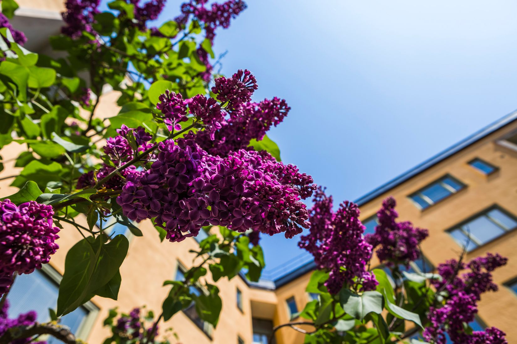 Bostadsrätt, Lundagatan 36B, Södermalm, Stockholm