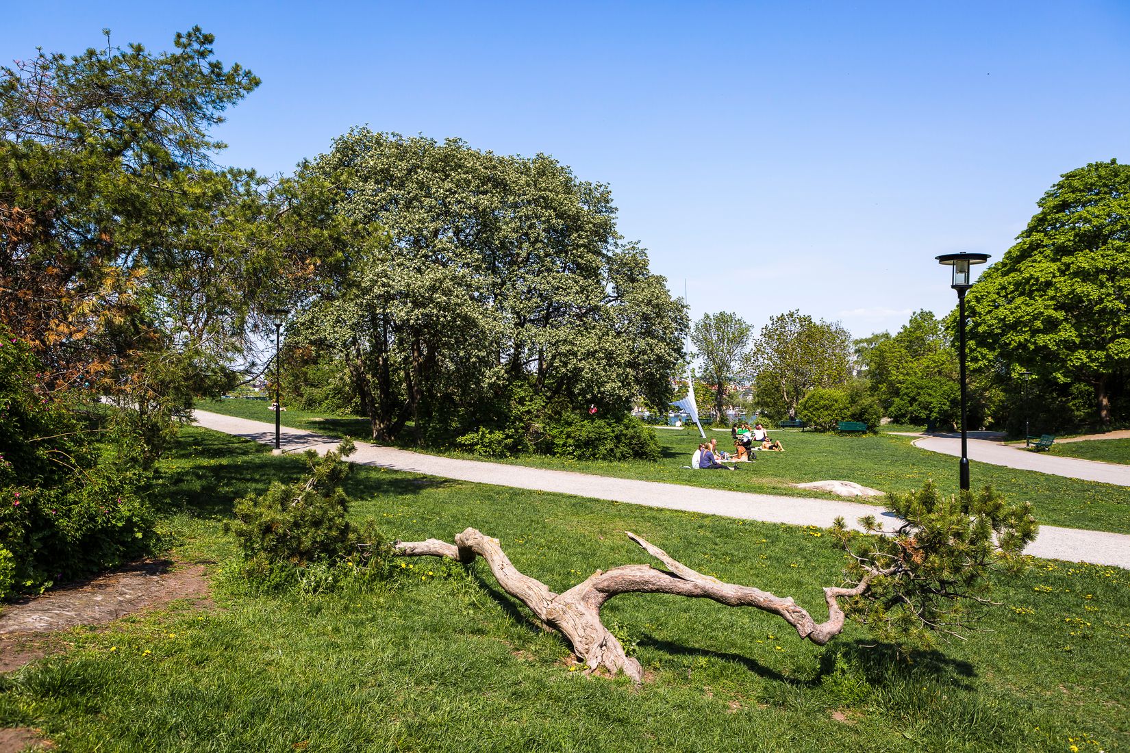 Bostadsrätt, Lundagatan 36B, Södermalm, Stockholm