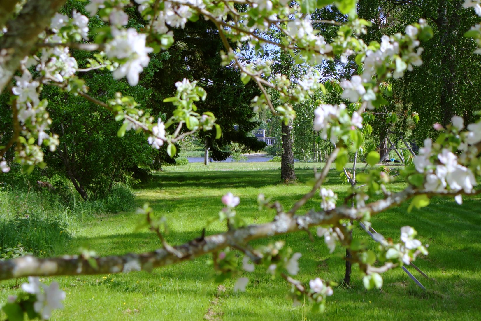 Gård/Skog, Lindbomstjärn 415, Sundsvall