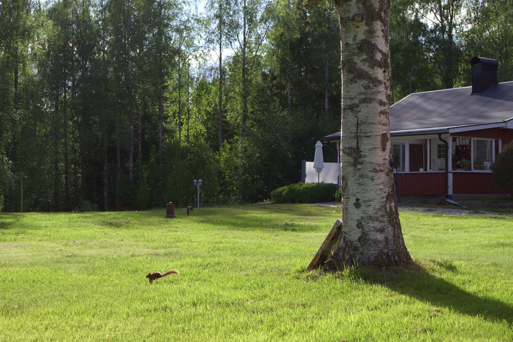 Gård/Skog, Lindbomstjärn 415, Sundsvall