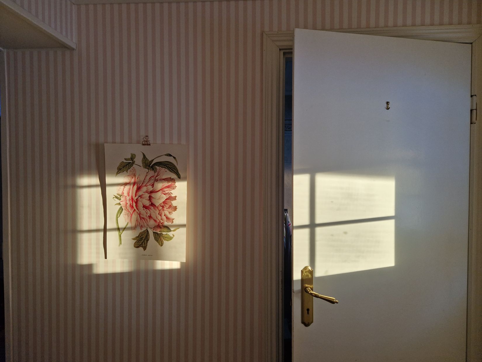 Gård/Skog, Lindbomstjärn 415, Sundsvall