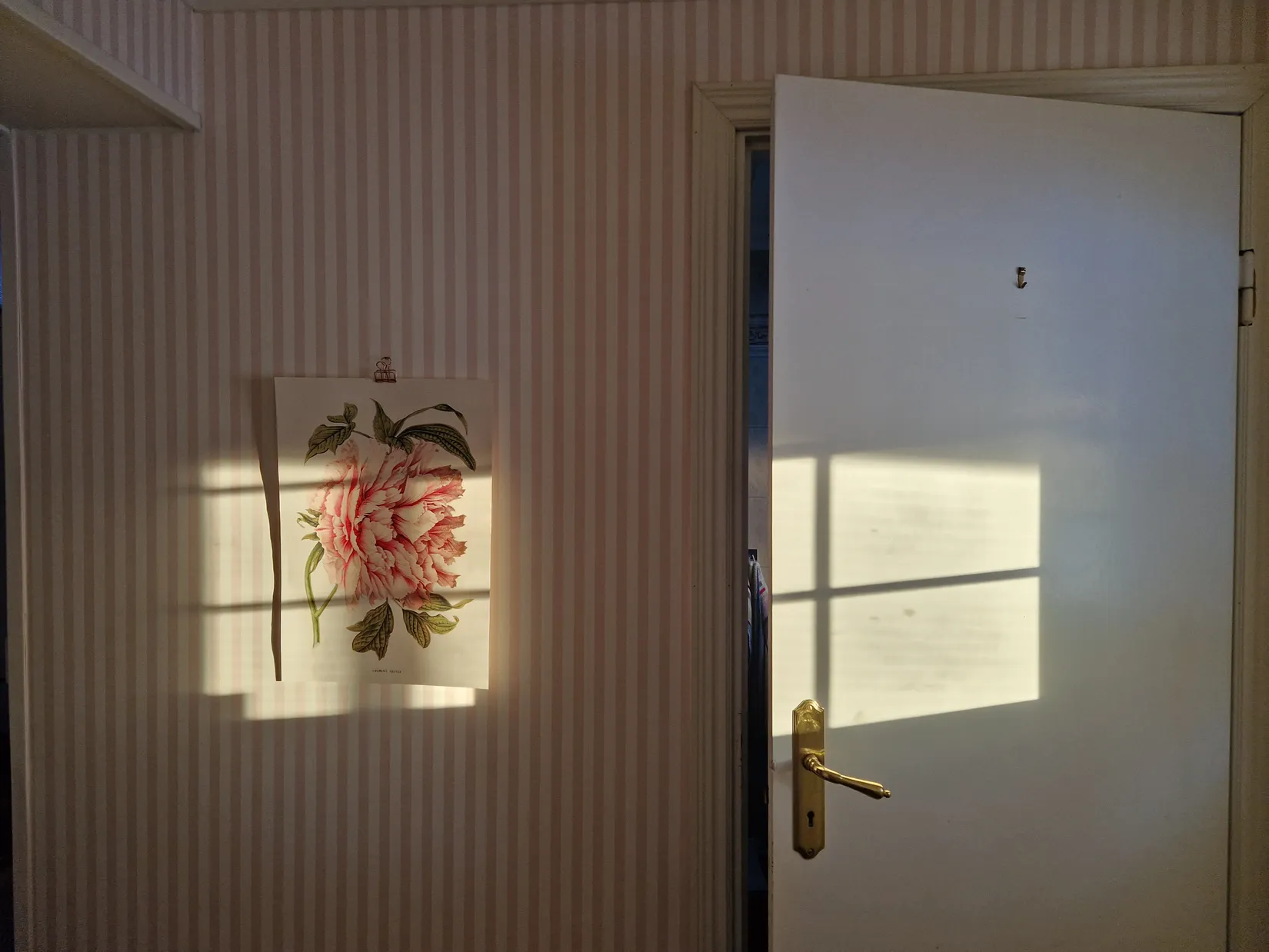 Gård/Skog, Lindbomstjärn 415, Sundsvall