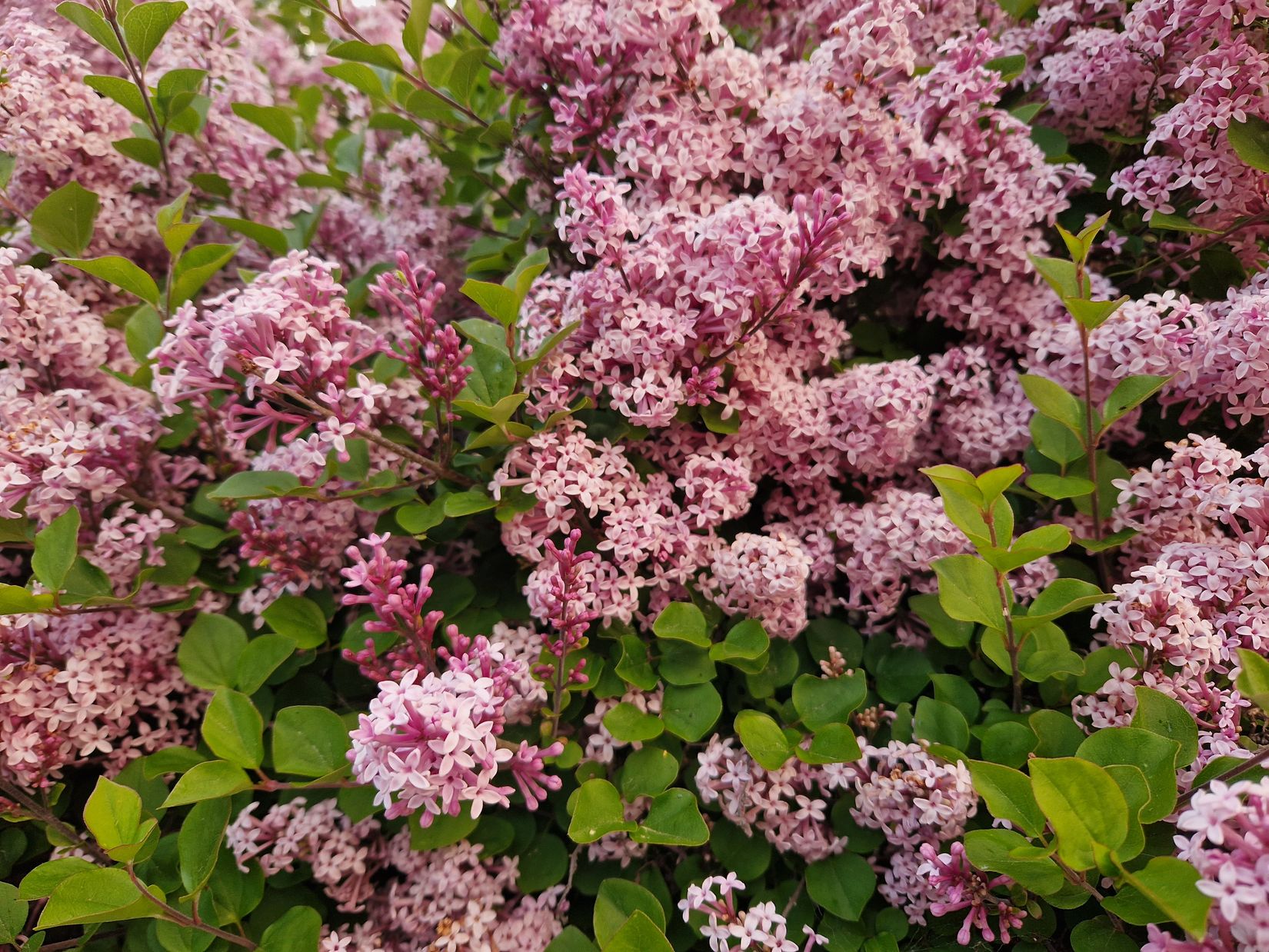 Gård/Skog, Lindbomstjärn 415, Sundsvall