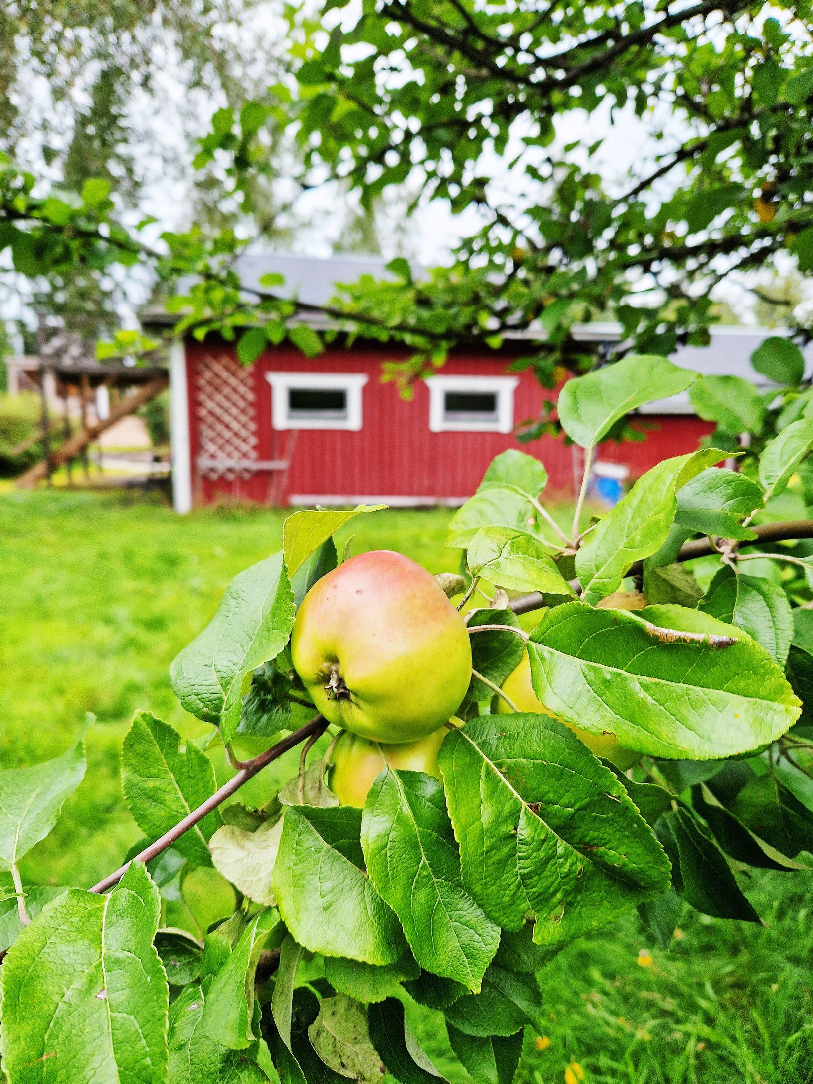 Gård/Skog, Lindbomstjärn 415, Sundsvall